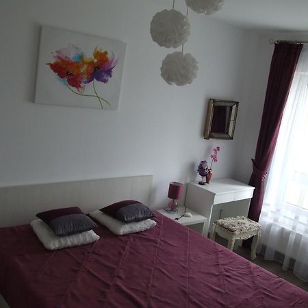 Anca Apartment Брашов Екстер'єр фото