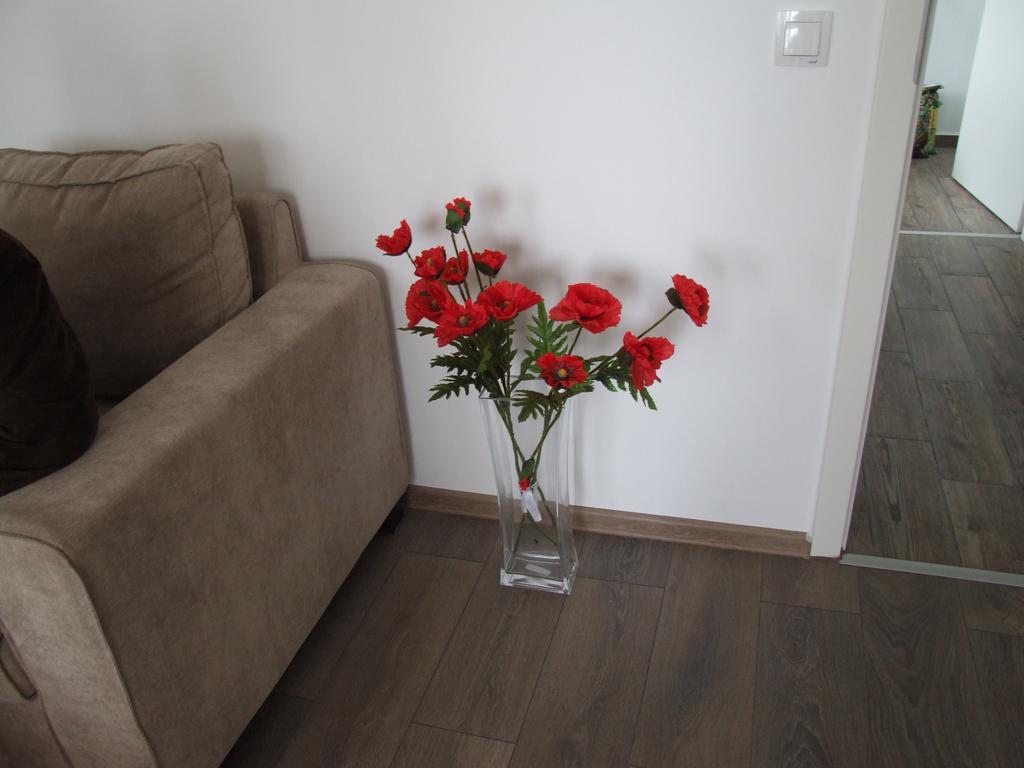Anca Apartment Брашов Екстер'єр фото