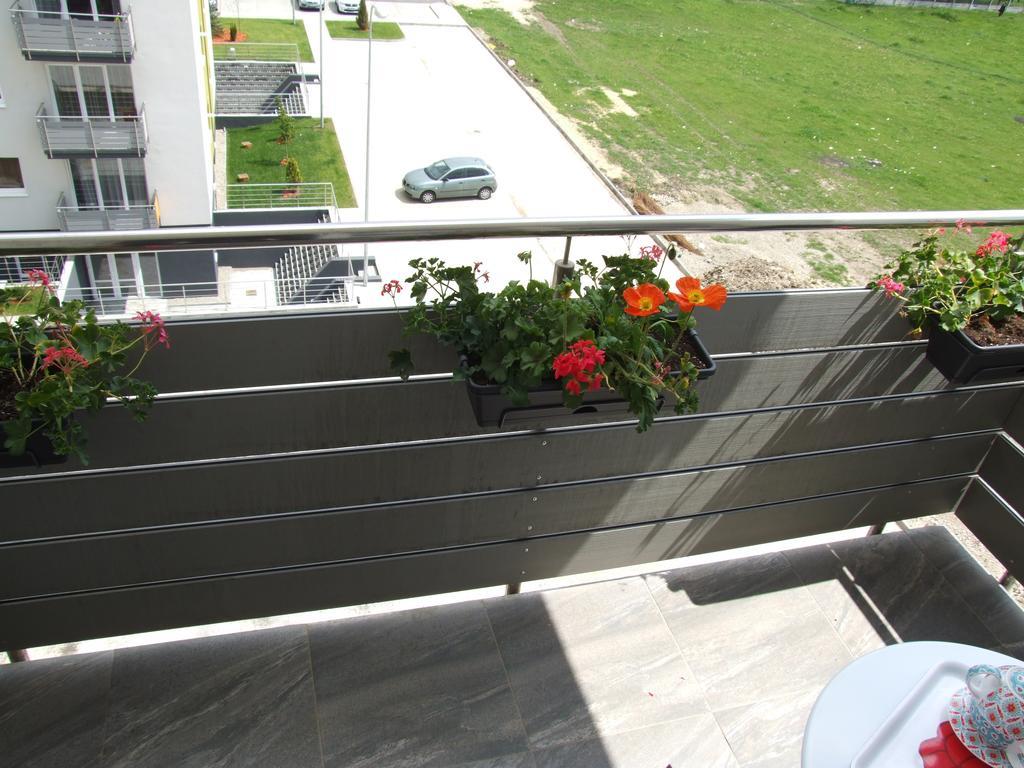 Anca Apartment Брашов Екстер'єр фото